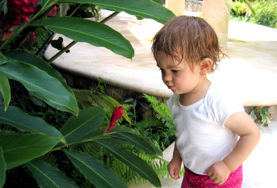 Toddler taking time to smell the bromeliads outside Ik Kil Cenote, Mexico. www.travelswithbaby.com